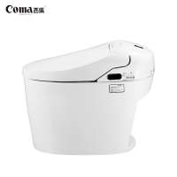 Remote Control Seat Heating New Electronic Tankless Smart Waterless Toilet